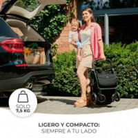 Silla de Paseo Compacta Apino Gris  KINDERKRAFT
