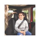 Silla de Auto Beta Gris (100-150)CM  MS