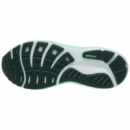 Brooks Ghost 18
