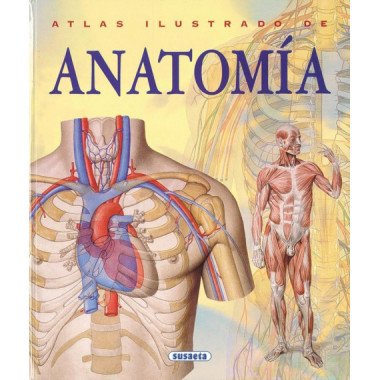 Anatom�a