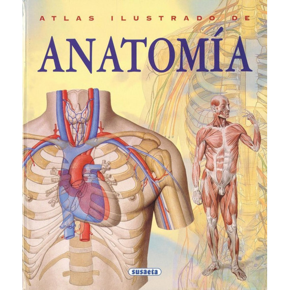 Anatom�a
