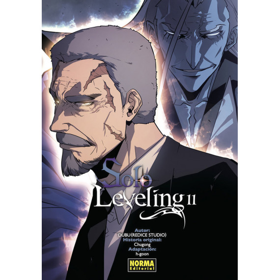 SOLO LEVELING