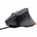 RATON TRUST GXT 145 REXXA USB RGB ERGONOMIC BLACK