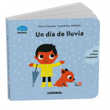 UN DIA DE LLUVIA