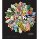 Plant   2026
