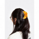 Bisutería y accesorios Pinza para el Pelo EAT MY SOCKS Croissant