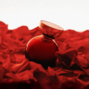 Halloween My Wish Addiction Eau de Parfum