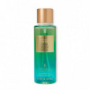 Pear Glace Archive  VICTORIA´S SECRET