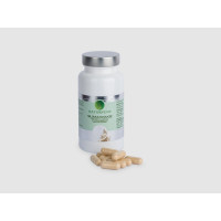 Naturvent Slim Awake 60 Caps  FULL WELNERS