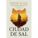 Ciudad de sal