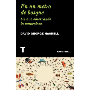 En un metro de bosque