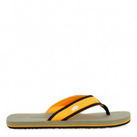 Chanclas Tainter  GIOSEPPO
