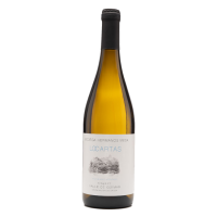 Locartas Afrutado 2025 - 75CL  BODEGA HERMANOS MESA