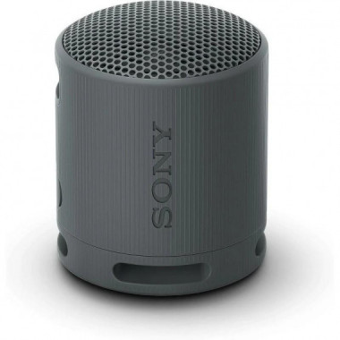 Altavoz Port&aacute;til Sony XB100 Wireless Bluetooth 5.3 IP67 Negro (SRSXB100B.CE7)