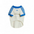 ADIDAS ORIGINALS - Pet Cali Tee - Owhite Blubir - KY8732/OWHITE Blubir