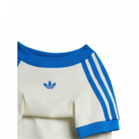 ADIDAS ORIGINALS - Pet Cali Tee - Owhite Blubir - KY8732/OWHITE Blubir
