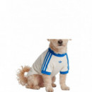 ADIDAS ORIGINALS - Pet Cali Tee - Owhite Blubir - KY8732/OWHITE Blubir