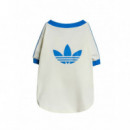 ADIDAS ORIGINALS - Pet Cali Tee - Owhite Blubir - KY8732/OWHITE Blubir