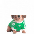 ADIDAS ORIGINALS - Pet Cali Tee - Flalim Owhite - KY8730/FLALIM Owhite