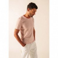 Camisetas Hombre Camiseta SAINT JAMES Plouhinec Neige Argile
