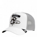 Gorra Classic Rocker - Queen Dust  GOORIN BROS