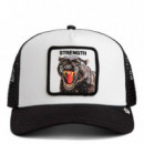 Gorra  Strength Panther  GOORIN BROS