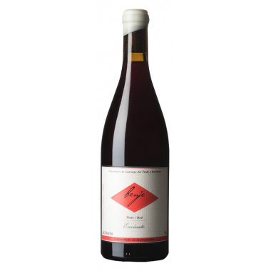 ENV&Iacute;NATE Benje Tinto 2023 - 75CL