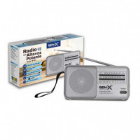 Radio Portátil Clásica Gen-x FM-4413 Sw/am/fm Analógica Plata  GEN X