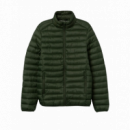 Chaquetas Hombre Chaqueta TIFFOSI Koro Verde