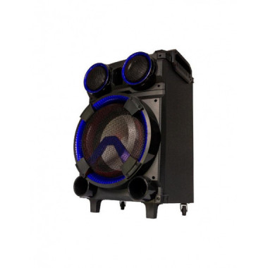 Altavoz Trolley con LED Ibiza Sound StandUp 308
