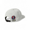 Gorros y Gorras Gorra THISISNEVERTHAT™ Grateful Dead Dancing Bears Stone