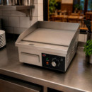 PLANCHA ASAR ELECTRICA LARRYHOUSE 358X298MM 1.700W