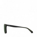 Gafas de Sol Pld D591/C  POLAROID