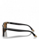 Gafas de Sol 0EA4260  EMPORIO ARMANI