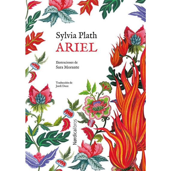 Ariel ed especial