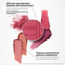 Color Glow Enhancer
Polvos Compactos Multifunción