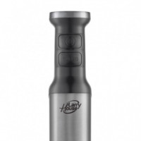 Batidora de Mano Inox LARRYHOUSE 2.300W