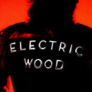 Electric Wood