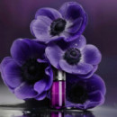 Âme De Fleur