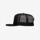Gorra RVCA Flex Fit