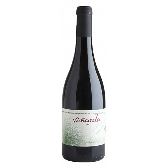Viñarda Vino de Tea 2024 - 75CL  BODEGAS VIÑARDA