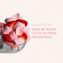 Yummy Flowers Rose Mallow