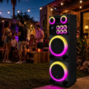ALTAVOZ LARRYHOUSE SERIE CALI 2X15" 1.500W CON 2 MICROFONOS LARRYHOUSE