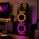 ALTAVOZ LARRYHOUSE SERIE CORO 2X10" 1.000W CON 2 MICROFONOS
