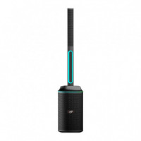 Altavoz Columna LARRYHOUSE Serie Brasilia 1.500W con 2 Microfonos