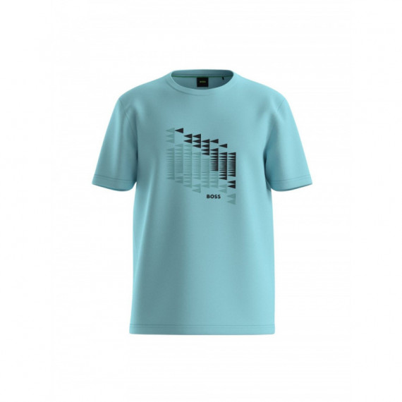 BOSS - TS_Network Flag (320974) - 483 - 50566853/483