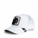 Gorra "PANTHER"