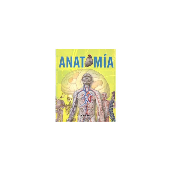 Anatom�a