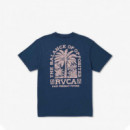 Camiseta Palmgrove RVCA