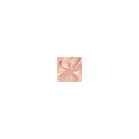 SISLEY Palette L´orchidee